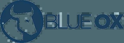 Blue Ox BX1617 Tow Bar Base Plate