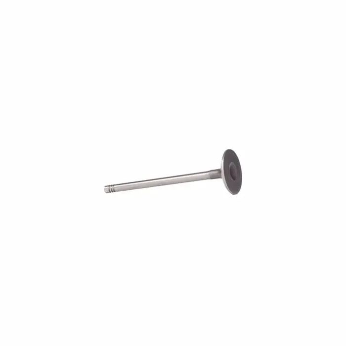 Borsehung 11091510305 Inlet Valve