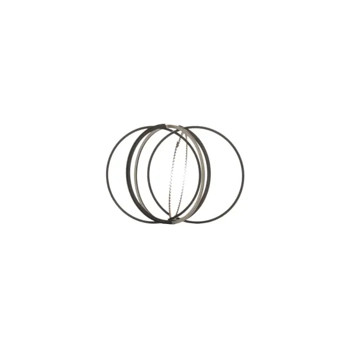 Borsehung 11981629705 Piston Ring Kit