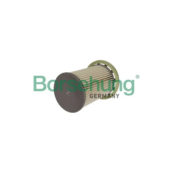 Borsehung B10525 Fuel Filter for VW Touareg II (7P5, 7P6)