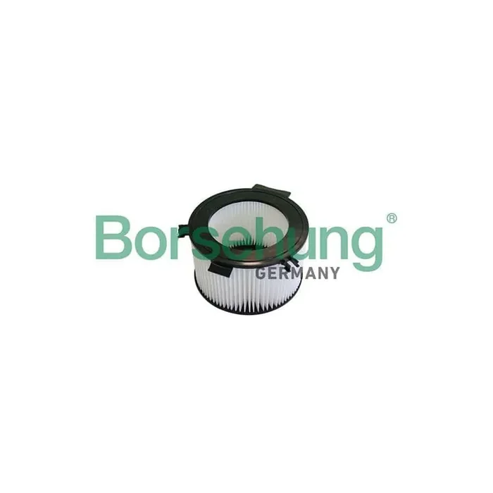Borsehung B10549 Pollen Filter for VW Transporter