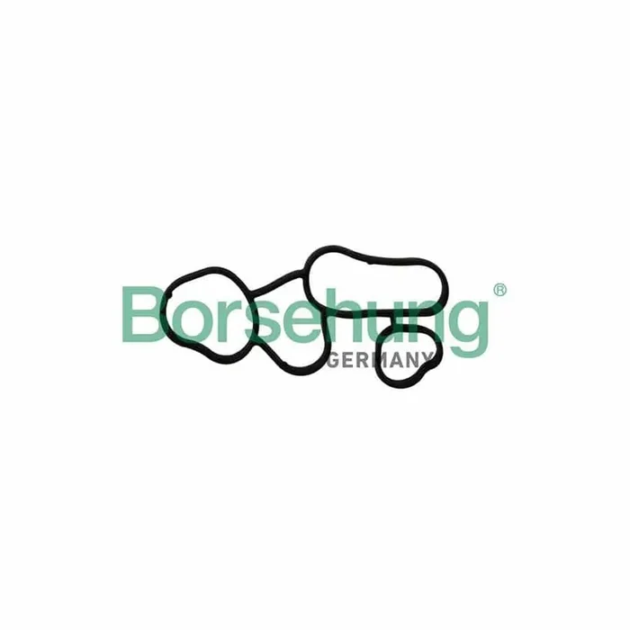 Borsehung B10621 Seal, Oil Filter Housing