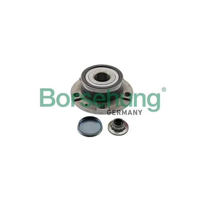 Borsehung B11287 Wheel Bearing Kit