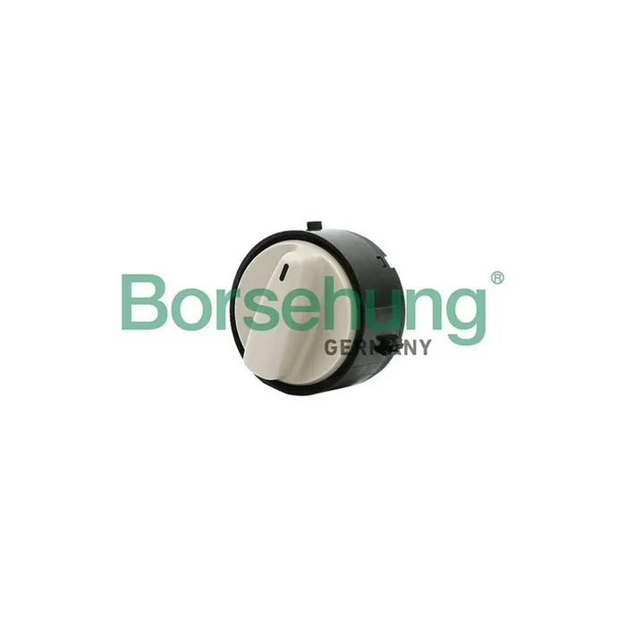 Borsehung B11431 Switch, Sunroof