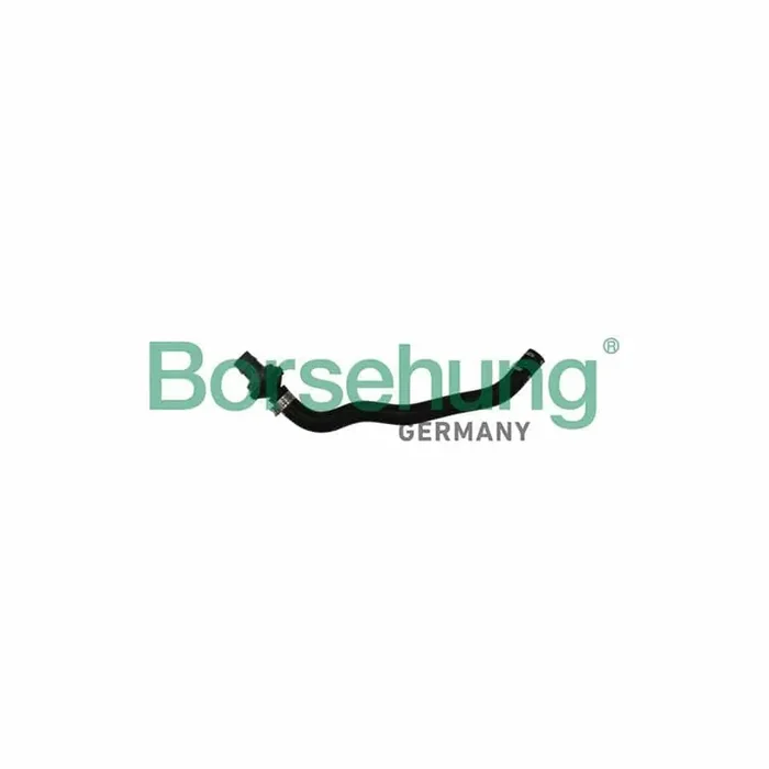 Borsehung B11971 Crankcase Breather Hose