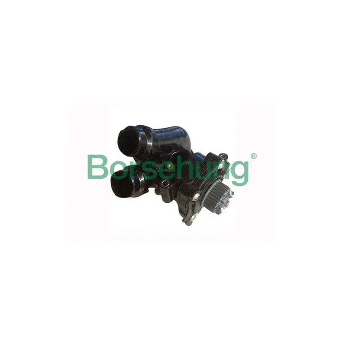 Borsehung B12691 Water Pump