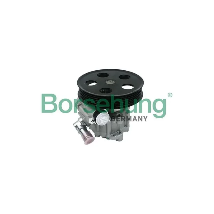 Borsehung B13214 Power Steering Pump for Audi A4