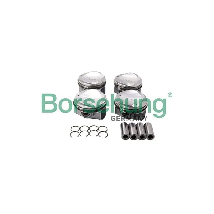 Borsehung B13584 Piston Ring Kit
