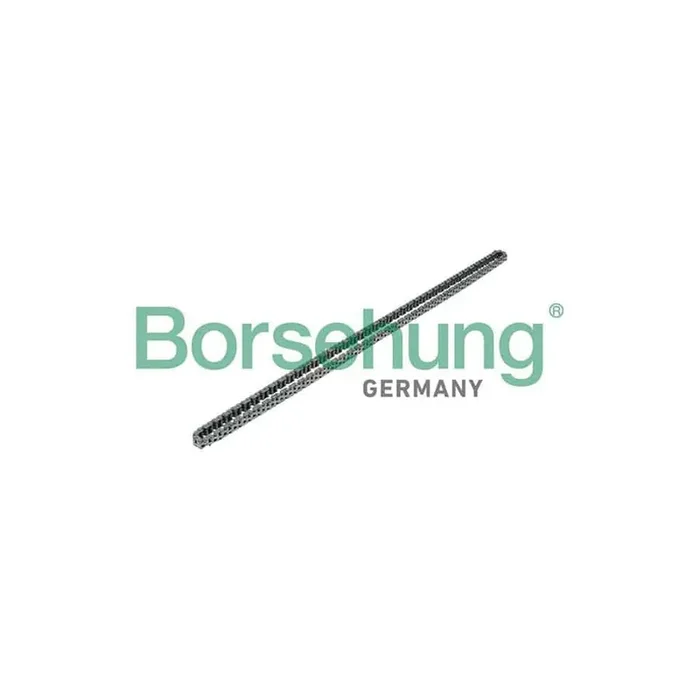 Borsehung B17908 Timing Chain