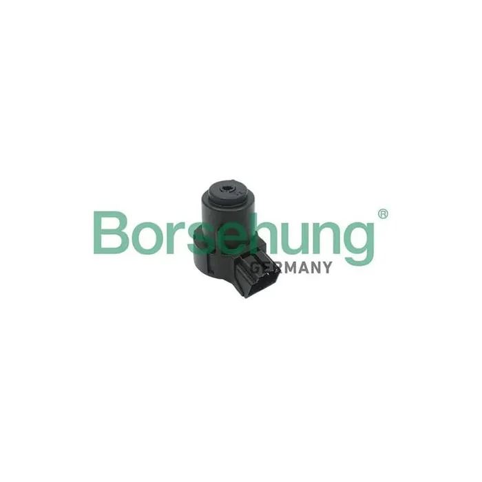 Borsehung B17994 Ignition Switch