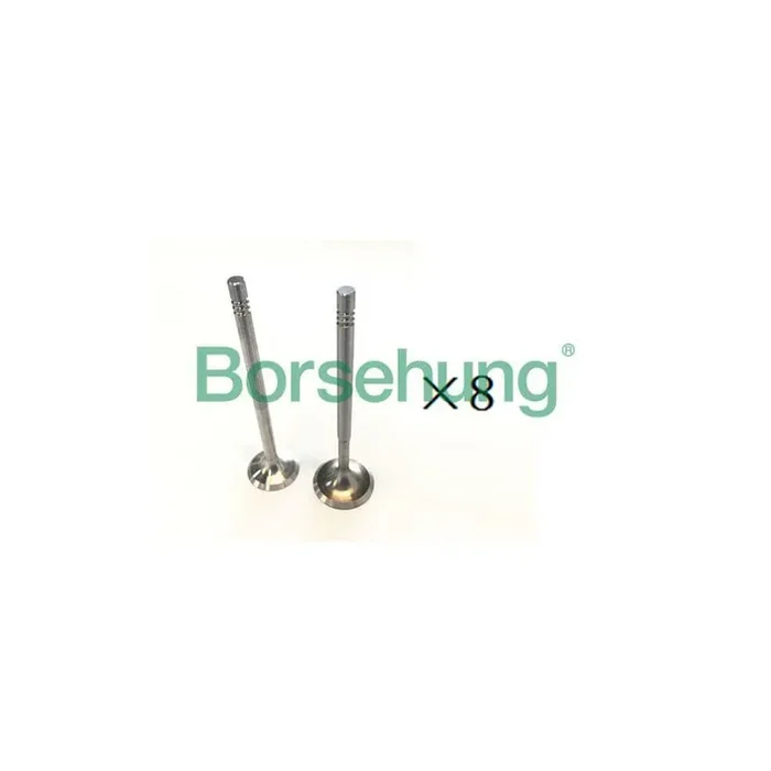 Borsehung B18190 Exhaust Valve