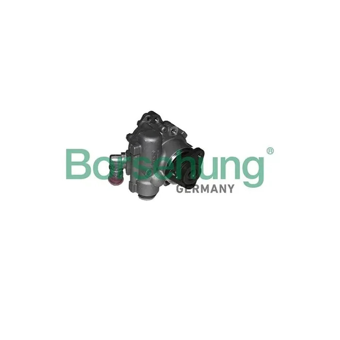 Borsehung B18222 Power Steering Pump for Audi A6
