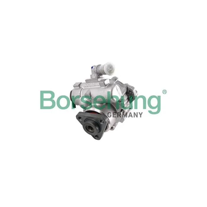 Borsehung B18226 Power Steering Pump for Audi A4