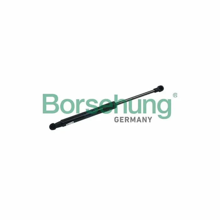 Borsehung B18435 Bonnet Strut for Audi Q5 (8Rb)