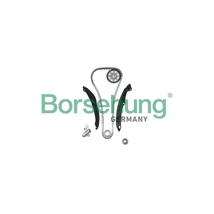 Borsehung B18475 Timing Chain Kit
