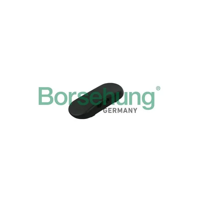 Borsehung B18497 Windscreen Washer Jet for Audi A6