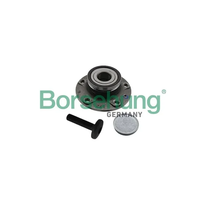 Borsehung B19310 Wheel Bearing Kit