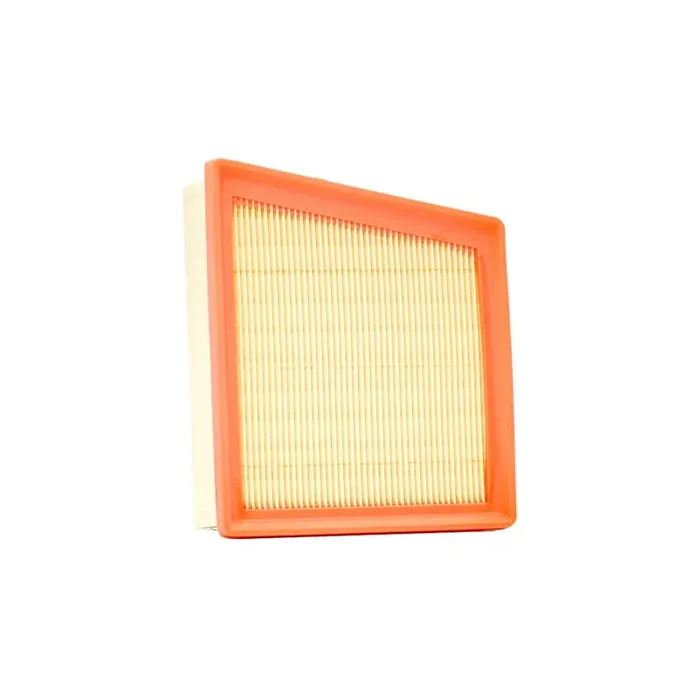 Champion Caf100165R Air Filter