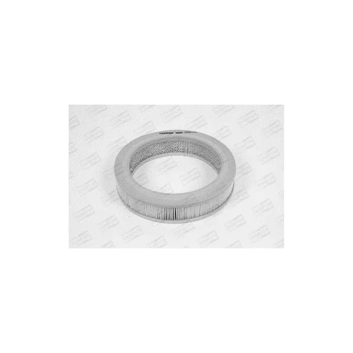 Champion W120/606 Air Filter
