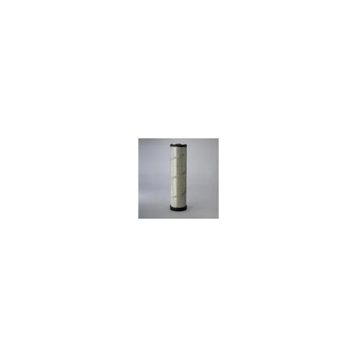 Donaldson P617283 Air Filter