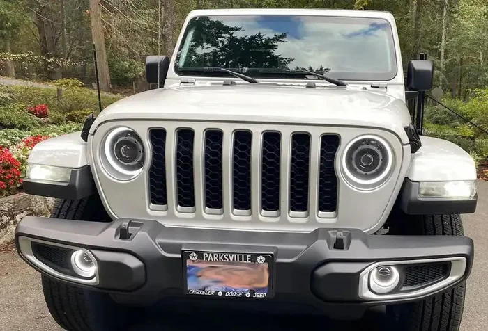 Oracle Lighting 5846-504 High Performance Fog Lights, No Halo