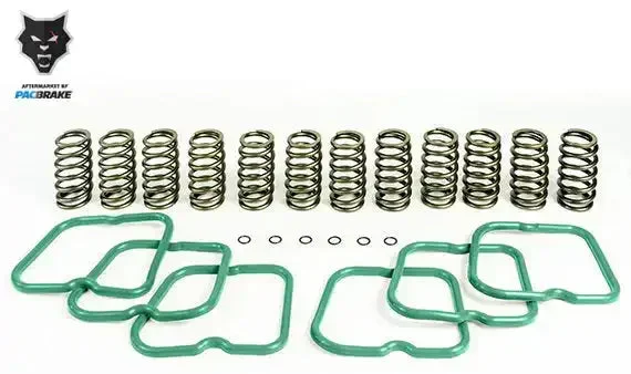 Pacbrake Basic Spring Kit 12 Springs For 94-98 Ram 2500/3500 Cummins 12 Valve Engine