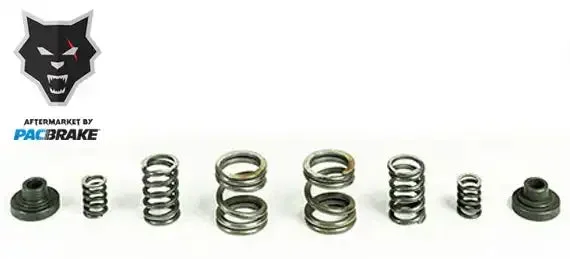 Pacbrake Engine Speed Governor Spring For 94-98 Ram 2500/3500 W/P7100 Injection Pump
