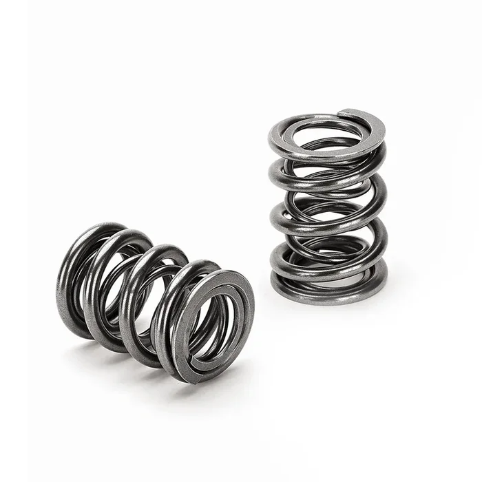 Supertech Dual Valve Spring – Single | Multiple Fitments (SPR-H1021D)