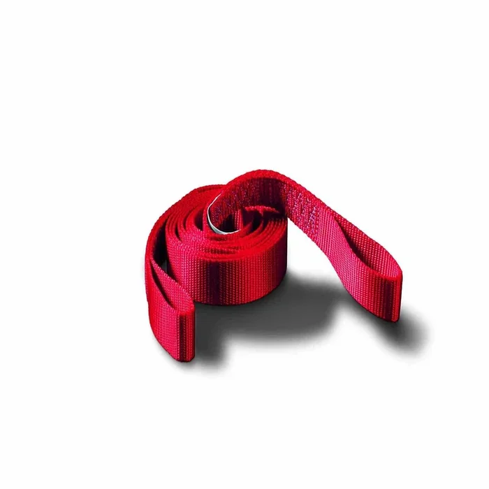 Warn 88894 – 1 Inch Width x 8 Foot Length 2000 Pound Breaking Strength Red Nylon Webbing